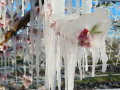 Blüte eines Pfirsichbaums am Spalier mit Eis überzogen auf den Obstanlagen