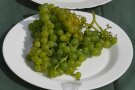 Trauben mit kleinen runden grünen Beeren auf dem Teller.