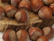 Haselnüsse in Detailaufnahme