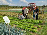 Die teilnehmenden Auszubildenden nehmen eine Bodenprobe auf einem Feld.