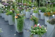 Mit bunt blühenden Blumen bestückte Pflanzgefäße und Blumenampeln auf der Schaufläche