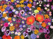 Ein Blütenmeer von Schnittblumen-Blüten in einem Teich