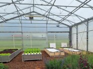 Salat im geschützten hydroponischen Anbau (Deep-Water-Cuture) mit Drohnensystem