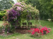 Ein Gartenpavillon mit Stühlen umringt von Rosen, Waldrebe, Laubblättern und Bäume