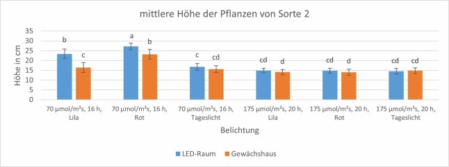Pflanzenhöhe von zwei Belichtungsstrategien als Säulendiagramm dargestellt.