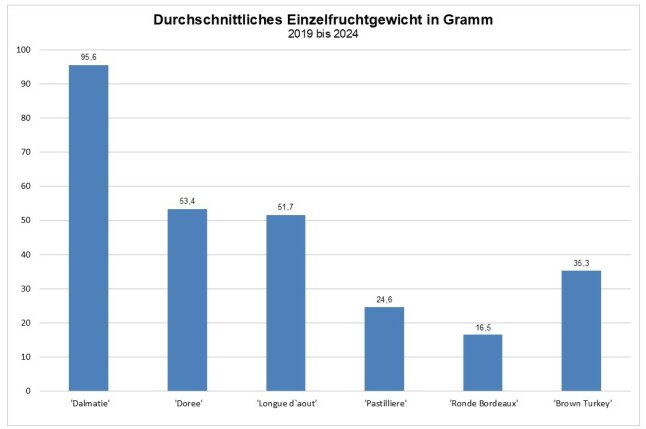 Einzelfruchtgewicht der Sorten in Gramm als Säulendiagramm dargestellt.