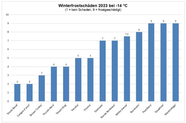 Frostschäden der Sorten mit Zahl eins bis neun als Säulendiagramm dargestellt.