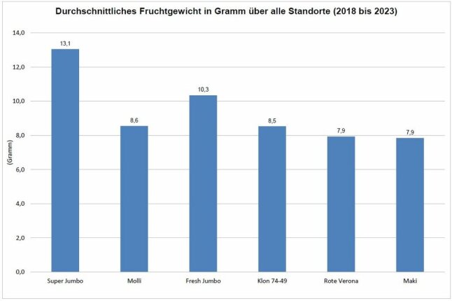 Ertrag in Gramm pro Pflanzen als Säulendiagramm dargestellt.