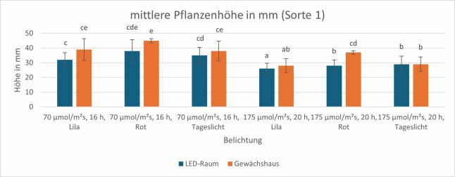 Pflanzenhöhe von zwei Belichtungsstrategien als Säulendiagramm dargestellt.