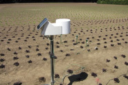 Bewässerungssteuerung durch Funkübertragung Sensoreinheit