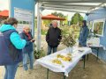 Besucher stehen im Pavillon vor einem Tisch mit verschiedenem Obst