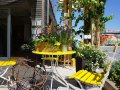 Eine Terrasse mit gelben Tisch und zwei Stühlen, reich dekoriert mit den unterschiedlichsten Pflanzen lädt zum Verweilen ein.
