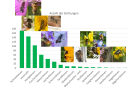 Ein Balkendiagramm, mit verschiedenen Gattungen von Wildbienen auf der x-Achse und der Häufigkeit deren Sichtungen auf der y-Achse. Von links nach rechts sind die Wildbienengattungen in absteigender Häufigkeit von 175 Sichtungen bis 1 Sichtung aufgetragen: Schmalbienen, Hummeln, Honigbienen, Furchenbienen, Mauerbienen, Löcherbienen, Scherenbienen, Sandbienen, Maskenbienen, Blattschneider- und Mörtelbienen, Wollbienen, Seidenbienen, Langhornbienen, Düsterbienen, Keulhornbienenm Kegelbienenm Sägehornbienen. Außerdem ist zu jeder Gattung ein Bild einer Wildbiene gezeigt.