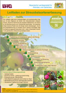 Poster zum Leitfaden zum optimierten Ablauf von Streuobst-Sortenbestimmungen - Teaserbild