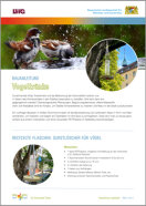 Klimawandel-Garten - Bauanleitung Vogeltränke - Teaserbild