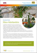 Klimawandel-Garten - Bauanleitung Klima-Schutzschirm - Teaserbild