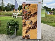 Wiese mit Kuh und einem Rollup zu Bienen