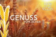 Teaserbild: Genuss vom Acker