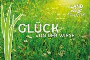 Teaserbild: Glück von der Wiese mit dem Logo LANDschafftSCHÄTZE