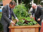 LWG-Präsident Andreas Maier und der Schweinfurter Oberbürgermeister Sebastian Reméle an einem Hochbeet.