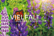 Teaserbild:Vielfalt aus der Landschaft mit dem Logo LANDschafftSCHÄTZE