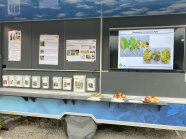 Anhänger mit Plakaten und einem Film über Pflanzenschädlinge