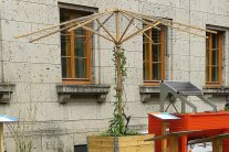 Holzschirm mit leicht bewachsener Schirmstange.