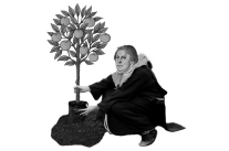Luther pflanzt ein Bäumchen - Fotocollage