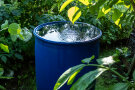Eine blaue Regentonne im Garten