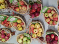 Verschiedene Äpfel von Streuobstwiesen liegen in Körben auf einem Tisch