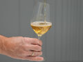 Eine Hand hält ein Weinglas