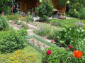 Ein Garten mit Gemüse, Kräutern und Blumen