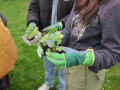 Schüler halten kleine Pflanzen in den Händen