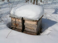 Ein Bienenstock im Schnee