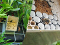 Nisthilfen aus Röhren für Wildbienen