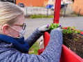 Eine Schülerin des OMG bepflanzt einen Kasten mit einer Blume.