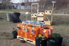 orangefarbene Kisten aufeinander gestapelt und mit Erde gefüllt und bepflanzt