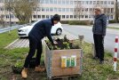 zwei junge Menschen bepflanzen Hochbeet