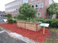 Der Urban Gardening Demonstrationsgarten Unterfranken befindet sich auf dem Vorplatz des Olympia-Morata-Gymnasiums in Schweinfurt. Hier gibt es Informationen zu Hochbeeten, Pflanztürmen und vielem mehr.