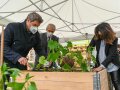 Dr. Markus Söder und Michaela Kaniber beim Pflanzen.