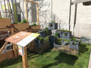 Beim Urban Gardening gibt es verschiedene Systeme – z.B. Terrabioponik.