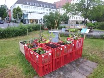 Wenn eine Fläche nur temporär genutzt werden kann sind mobile Kisten und Paletten-Beete eine gute Möglichkeit zum Gärtnern. Am Demonstrationsgarten sind diese mit verschiedenem Gemüse bepflanzt.