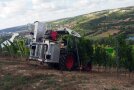Weinbergtraktor mit Anbaugerät fährt in eine Rebzeile; Blick in die Flusslandschaft
