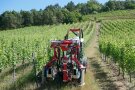 Ein Weinbergstraktor mit Anbaugerät kommt aus dem Weinberg gefahren
