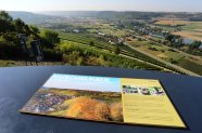 terroir f - Aussichtspunkt mit Informationstafel zum Muschelkalk und Blick über Weinberge und den Main im Tal