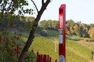 Weinberge, Hecken und Wald, im Vordergrund rote Stelen mit Informationen zur Geschichte der Rebsorten
