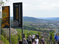 Besucher blicken über die Weinlandschaft mit Weinbergen und Main 