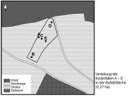 Grafik zur Verteilung der Köderfallen A bis E in der 0,27 Hektar großen Befallsfläche