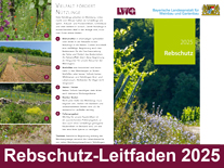 Ausschnitt aus dem Titelbild des aktuellen Rebschutz-Leitfadens mit Schriftzug 2025