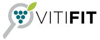VitiFit-Logo